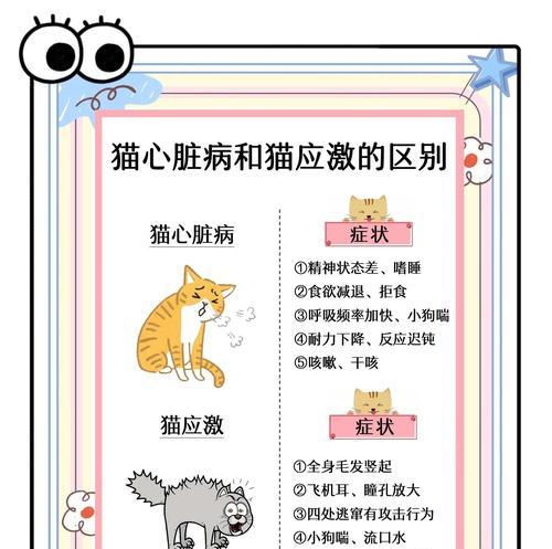猫咪猝死的12种原因，保护你的爱宠安全与健康（猫咪猝死的原因及预防方法，关注猫咪健康从今天开始）