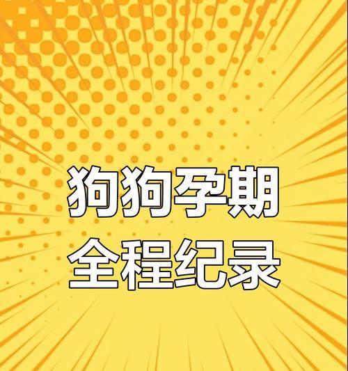 母狗怀孕多久能洗澡？（了解适当的洗澡时间对母狗的健康至关重要）