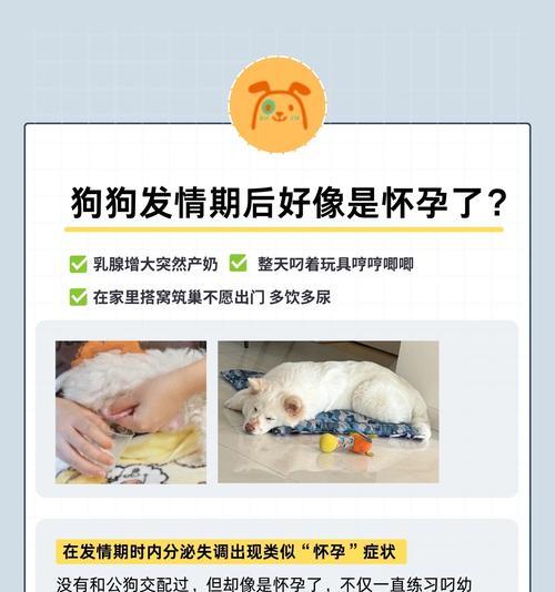 小狗怀孕的时间有多长？（了解小狗怀孕周期的重要性）