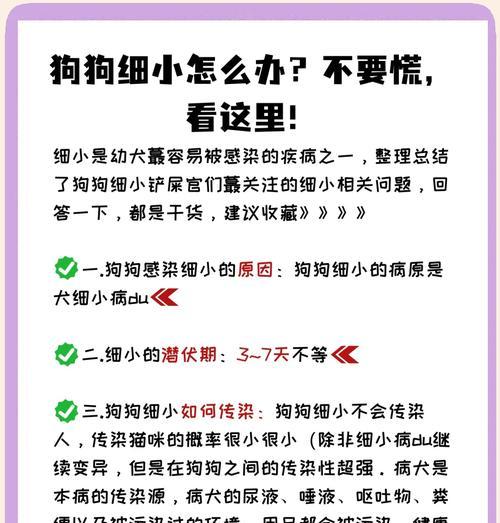 狗狗细小潜伏期究竟有多久？（探究狗狗细小疾病的隐藏时间及关键因素）