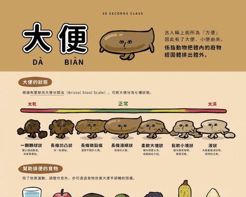 幼犬饱食后排便时间探究（揭秘幼犬饱食后的排便规律与关键因素）