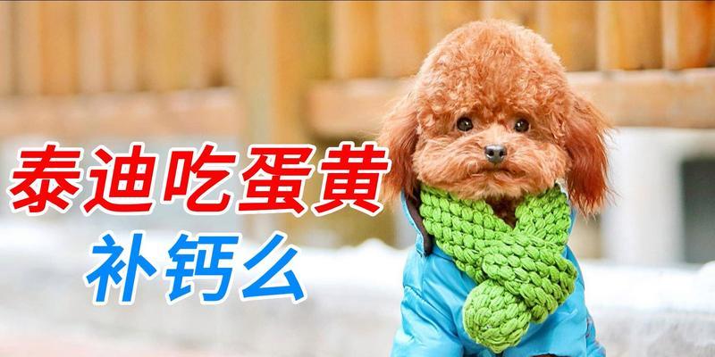 幼犬喂蛋黄的最佳频率是多久一次？（了解幼犬食物需求的关键。）