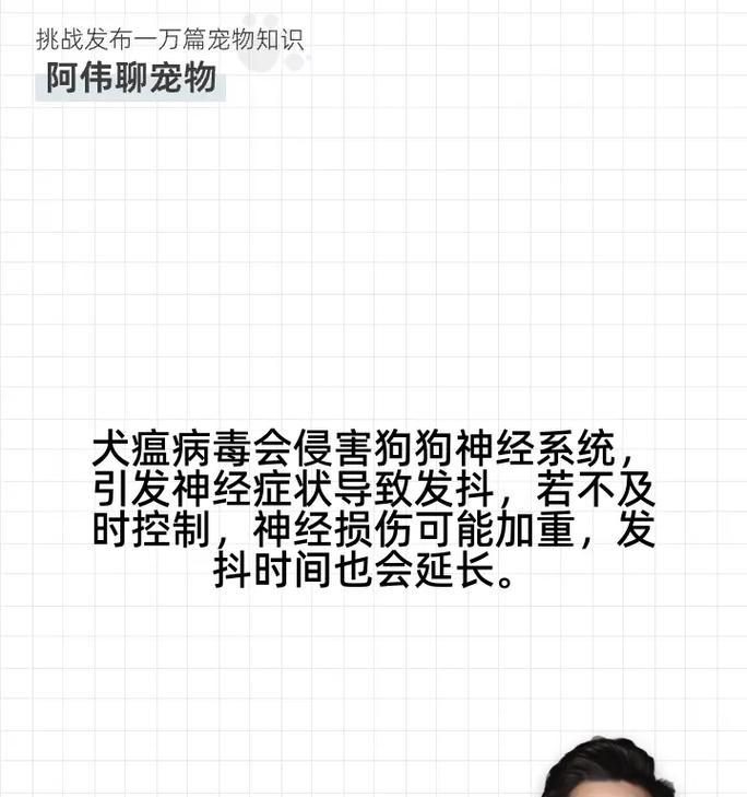 犬温热病毒的存活时间（揭秘犬温热病毒的生命周期及其关键因素）
