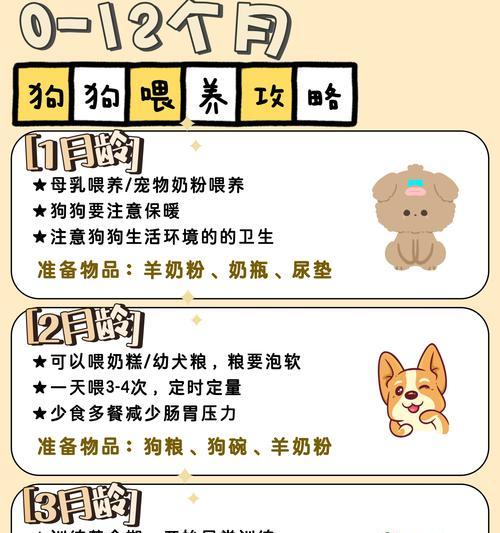 奶狗的眼睛何时开启奇妙世界的大门？（探秘奶狗眼睛开眼的时间和过程）