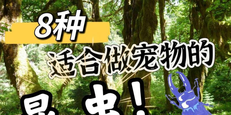 昆虫宠物（探索昆虫宠物的奇妙世界，与小生命共同相伴）
