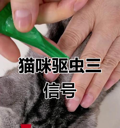 猫咪驱虫的频率和方法（保持宠物猫咪健康的必要措施）