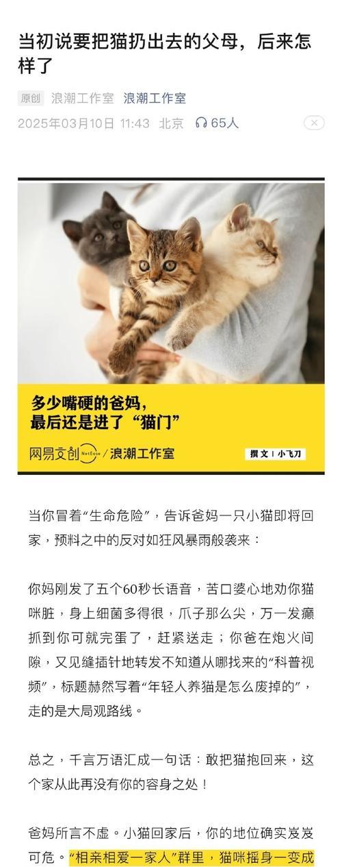领养大猫不好养？只因你养的方式不对！（以半路领养的大猫，正确养护方法让你省心愉快）