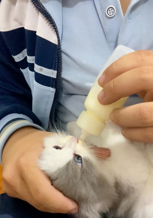 如何大致判断小奶猫的年龄（喂奶剂量和时间频率是多久？）