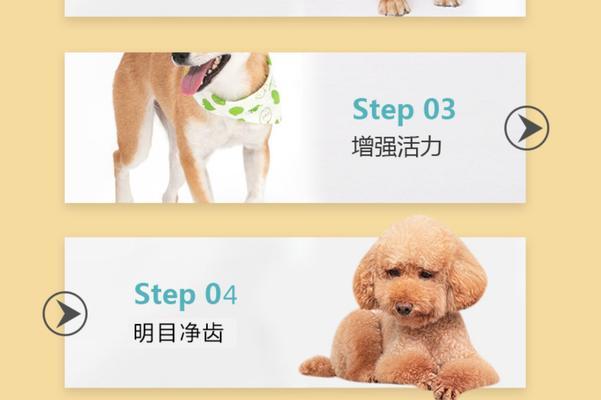 拉布拉多幼犬粮泡的时间应该多久？（科学喂养的关键一步，拉布拉多幼犬粮泡发酵的最佳时间）