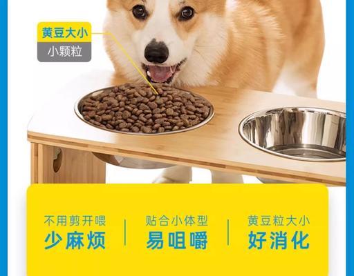 以泰迪20斤狗粮吃多久？（从饮食习惯到食量调节，了解泰迪狗的饮食需求）