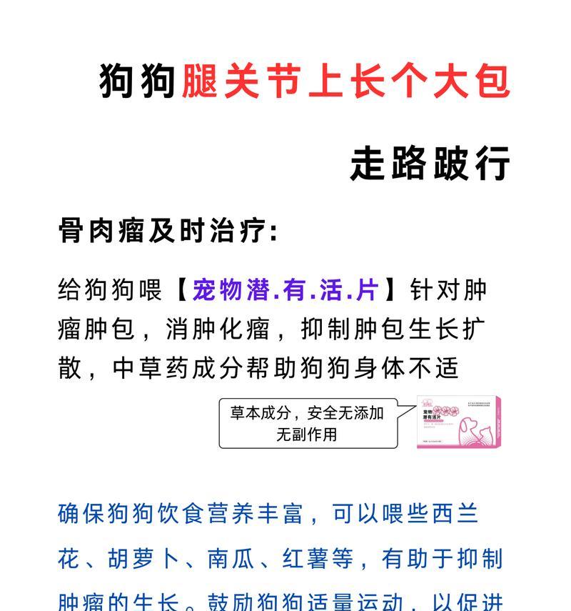 九岁狗后腿跛行能活多久？（一只九岁狗后腿跛行的生命之旅）
