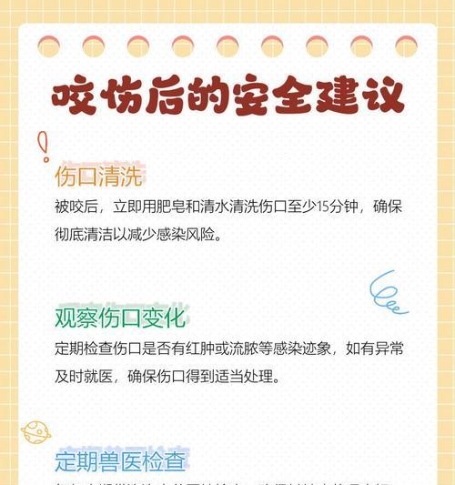 了解狗狗咬人（暴力行为的真相与防范措施）