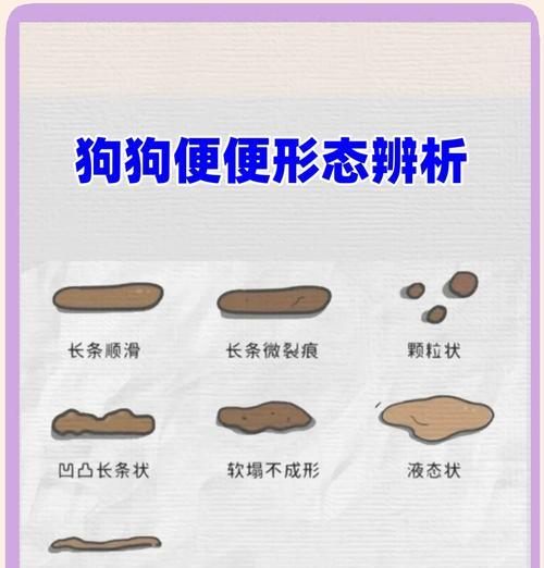 狗狗拉稀，多久能好？（了解狗狗拉稀的康复时间和治疗方法）