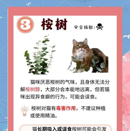 猫咪为什么对味觉不那么灵敏？（解密猫咪味觉的奥秘，揭开背后的原因）