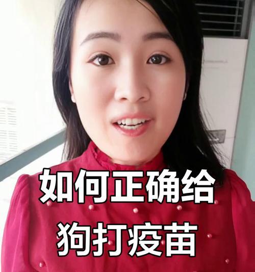 宠物狗狗的预防针（养狗人士必知的疫苗预防知识）