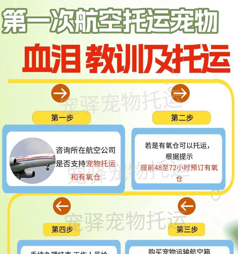 狗狗托运时间分析（了解狗狗托运所需时间的关键因素）