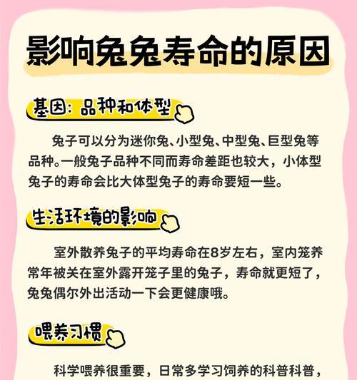 兔子拉肚子需要多长时间才能康复？（探讨兔子拉肚子的恢复时间及治疗方法）