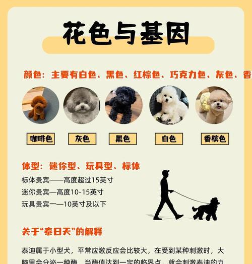 如何让泰迪狗幼犬乖乖刷牙（狗狗刷牙的具体步骤与注意事项）