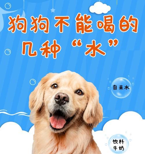 如何确保狗狗在气温回升时喝足够的水？（增加狗狗喝水量的有效方法与技巧）