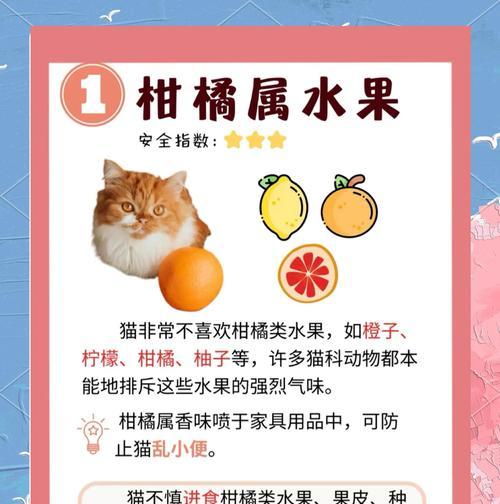 如何让猫咪改掉吃猫砂的习惯？（教你几招，让它远离猫砂的诱惑）