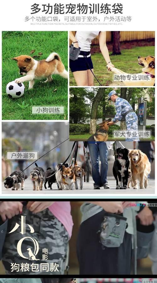 金毛犬训练时间及技巧（训练你的金毛犬成为忠诚听话的伙伴）