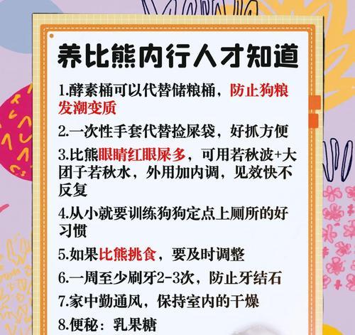 比熊公狗狗绝育术后的恢复情况（了解绝育手术的恢复过程及时照顾你的比熊宝贝）