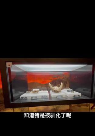 狗吃了鱼钩，必须立即就医，以避免生命危险（鱼钩毒害狗的风险及处理方法）