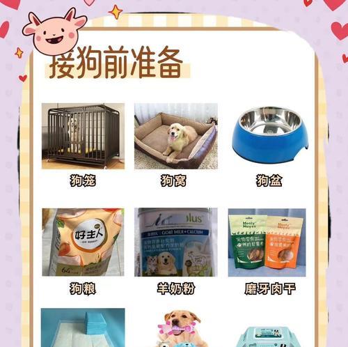 拉布拉多犬的洗澡时间要注意什么？（拉布拉多犬的洗澡时机和注意事项解析）