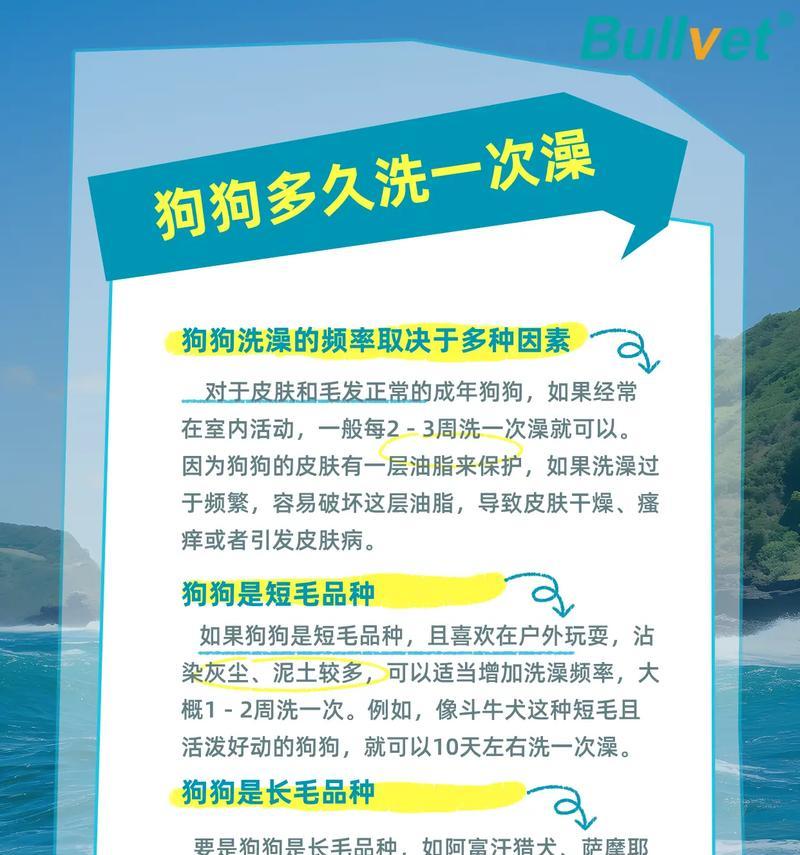 新生小狗的洗澡时间和注意事项（宝宝狗狗的清洁需谨慎，掌握洗澡的最佳时机和正确方法）
