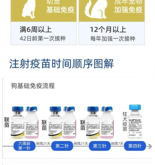 拉不拉多狗狗需要打哪些疫苗？（了解拉不拉多狗狗养护所需的疫苗接种情况）