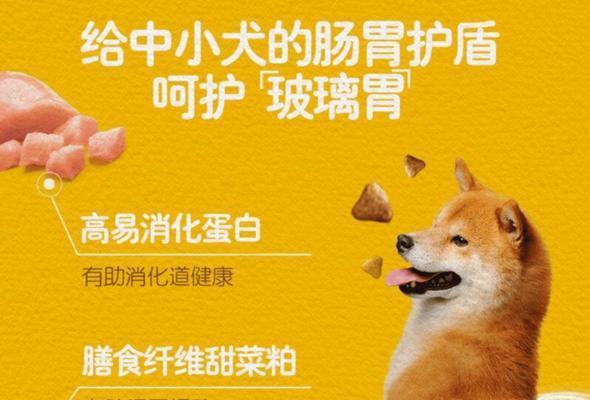 狗粮的好处千千万（为宠物狗健康成长保驾护航）