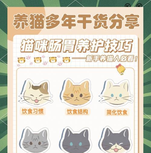 教你如何缓解猫咪便秘问题（科学方法缓解猫咪便秘困扰，让它重拾健康）