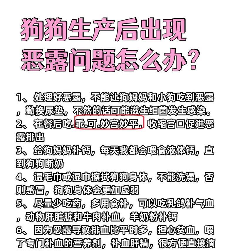 狗的恶露排出过程及时间（了解狗的产后排恶露的时间和注意事项）