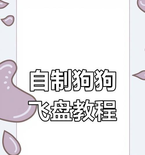 如何训练边牧接飞盘？（关键步骤和注意事项）