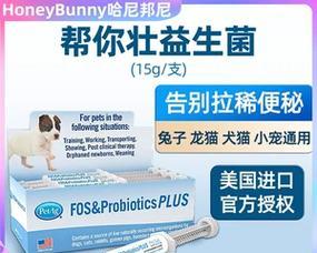 龙猫食用益生菌后的排便时间（龙猫摄入益生菌后多久开始排粑粑？）