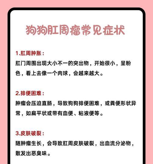 狗狗肛门出血的原因及预防措施（了解狗狗肛门出血的原因和如何保护你的宠物）