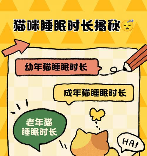 小猫的睡眠时间之谜（揭秘小猫的梦乡之旅）
