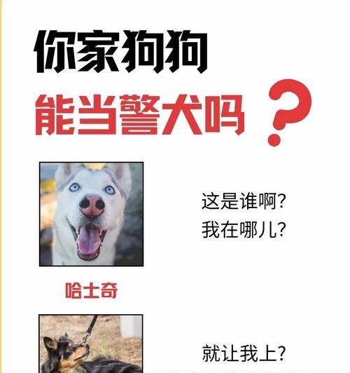 为什么狗狗不能喝牛奶？（了解三大理由，让你的狗狗健康快乐）