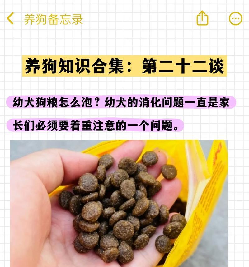 狗粮泡软的最佳时间与方法（如何科学泡狗粮，让狗狗更易消化吸收）