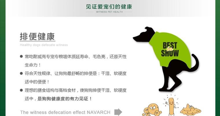 金毛狗进食后多久排便？（了解金毛狗的消化系统以及排便频率）