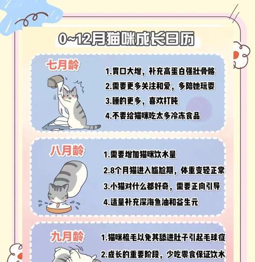 探讨幼猫便秘的时间界定（幼猫便秘的识别与处理方法）