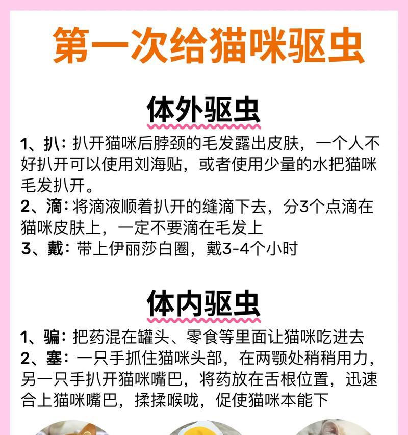 成年猫咪驱虫（了解猫咪驱虫频率，让爱宠始终安全无虞）