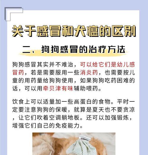 犬瘟热病愈后的合适时机养狗（犬瘟热康复期间需要注意的关键事项）