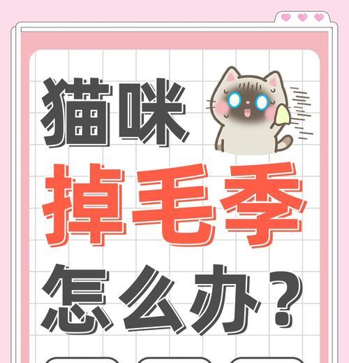 猫咪掉毛（解析猫咪掉毛周期及其影响因素）