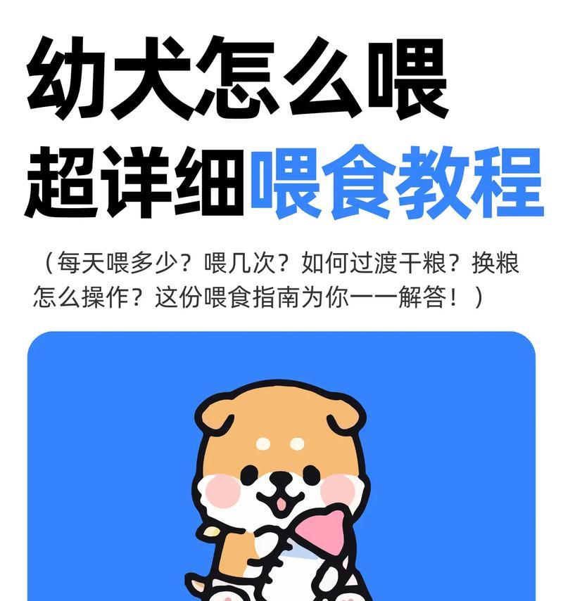 小狗饮食频率（了解小狗的饮食需求，让你的宠物健康成长）