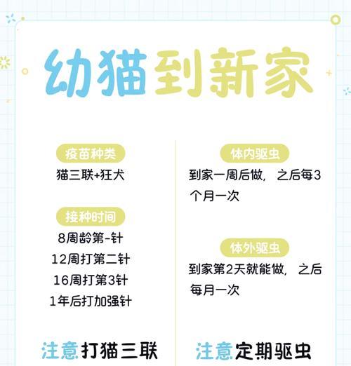 猫咪适应新家的时间和方法（了解猫咪适应新家的时间表和技巧）