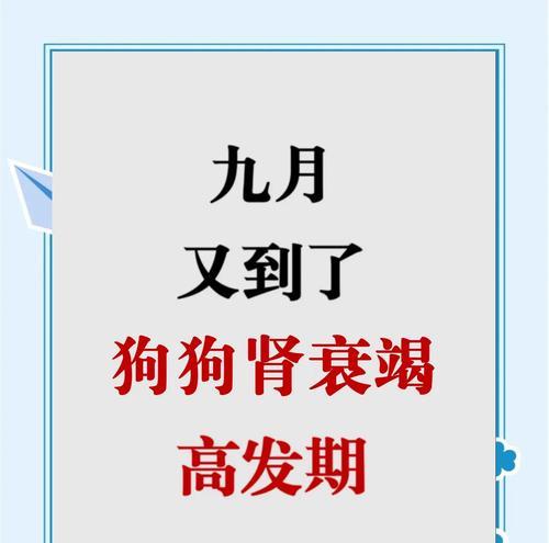 狗狗感冒（探究狗狗感冒康复的时间及关键因素）