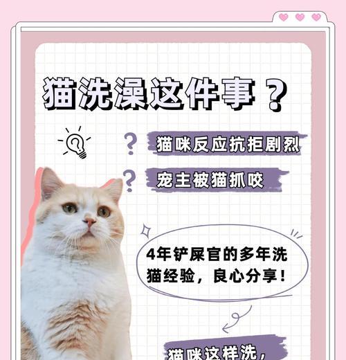 小猫产后多久能洗澡？（了解小猫产后洗澡的最佳时间和注意事项）