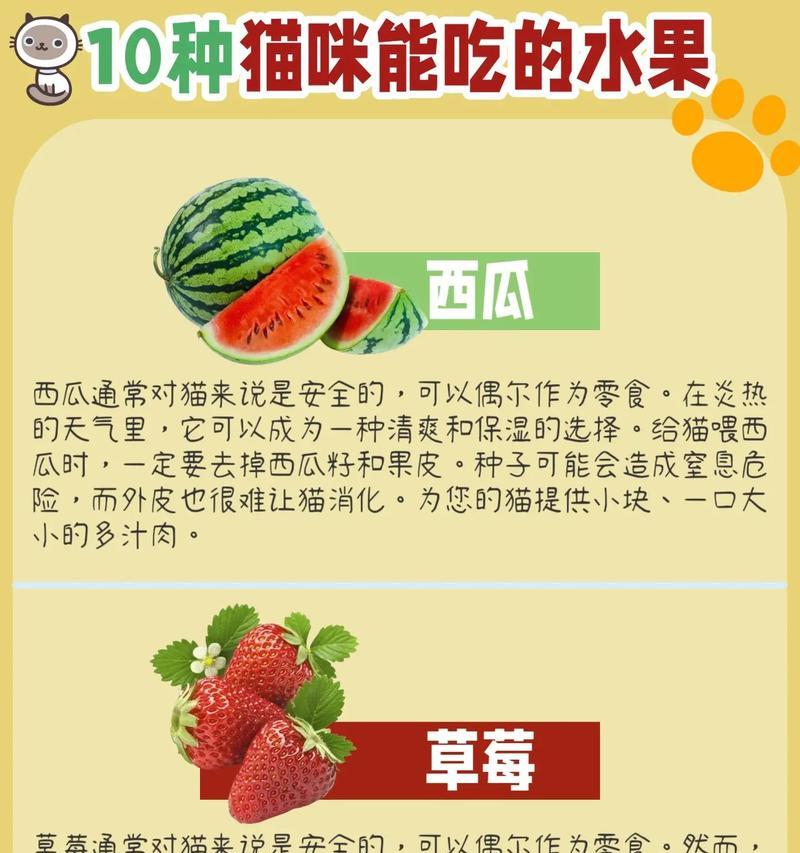 小猫的饮食禁忌与健康饮食指南（探索小猫的食物世界，让它健康成长）
