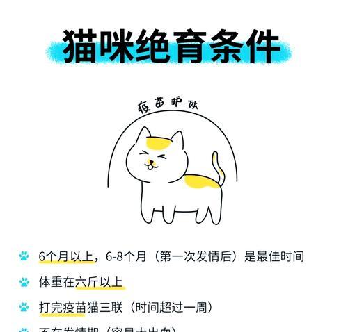 猫咪绝育后易发胖？原因和预防方法一览（猫咪绝育多久会发胖？如何防止肥胖问题？）